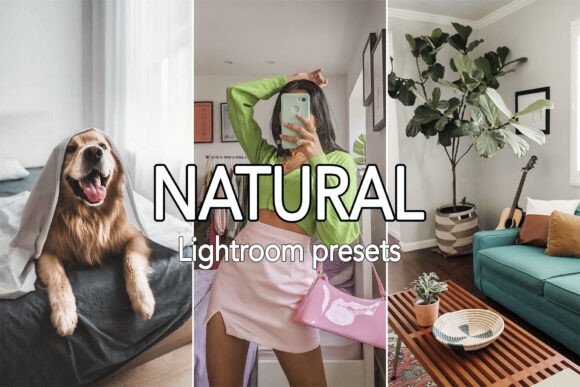 Download 110 Natural Clean Lightroom Presets - Premium Resources
