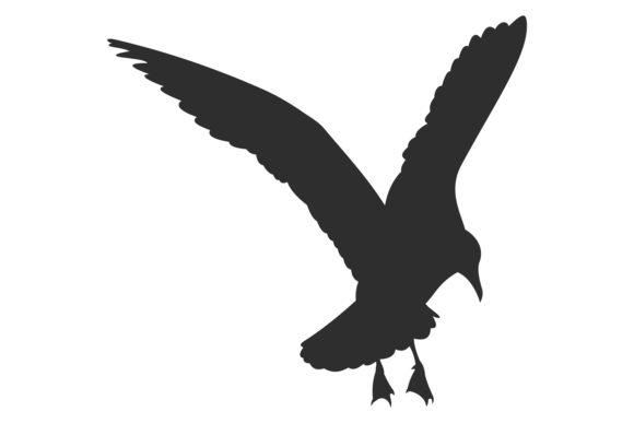 Download Aerial Animal Silhouette. Black Flying B - Aerial Collection
