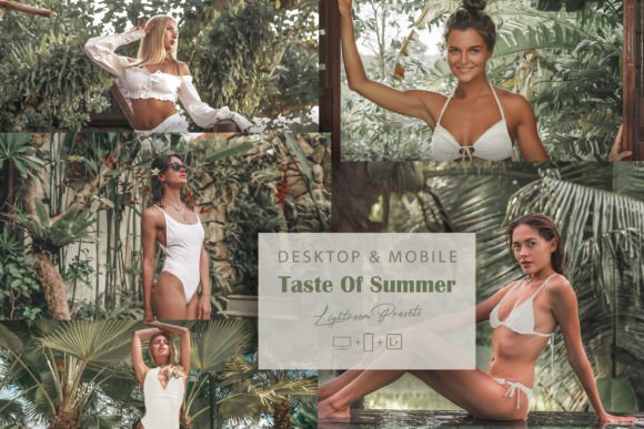 Download 12 Taste of Summer Lightroom Presets - Premium Resources